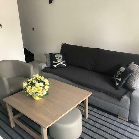 Jolie Petite Maison Pres Parc Des Expos Rer Cdg Arena Вилепинт Екстериор снимка
